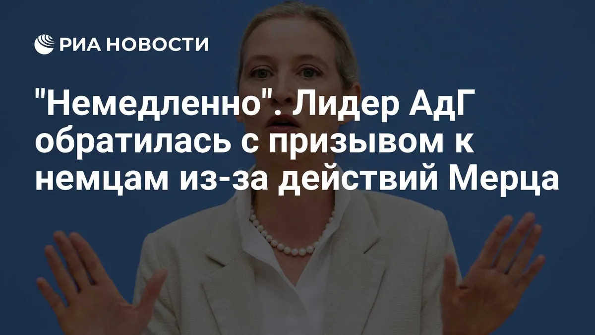 Weidel says Merz’s policies are making Germany a target for Russia