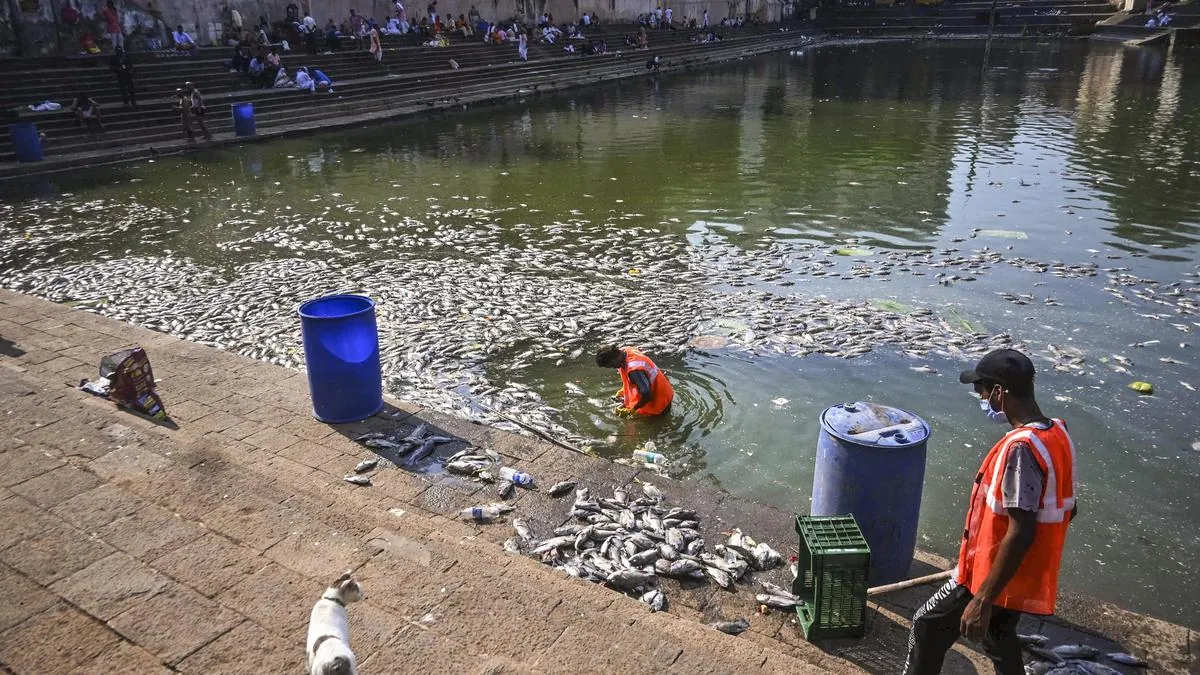 Hundreds of fish die in Mumbai’s historic Banganga Tank