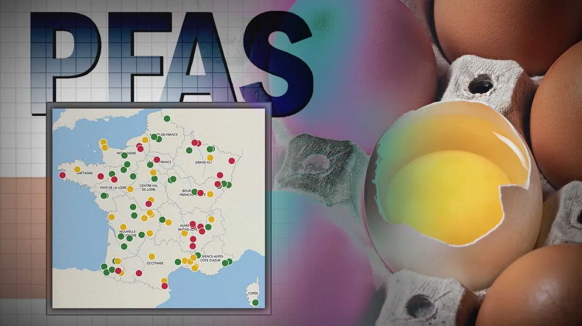 PFAS found in more than half of eggs tested in France