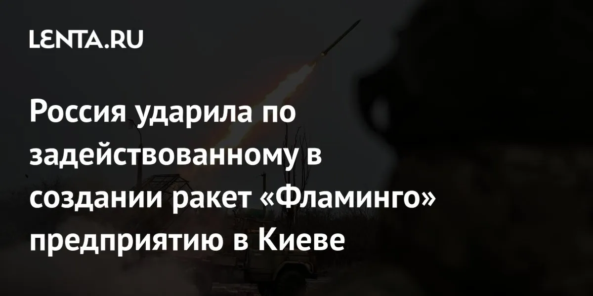 Минобороны России заявило об ударе по объекту, связанному с ракетами «Фламинго»