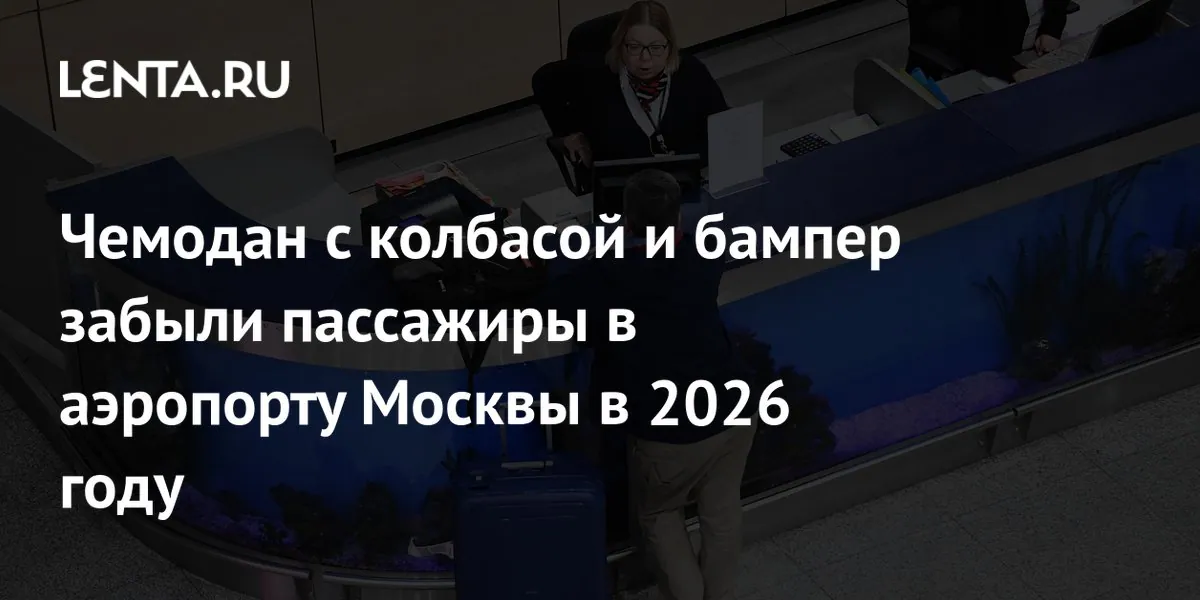 Domodedovo airport logged more than 27,000 lost items in nine months
