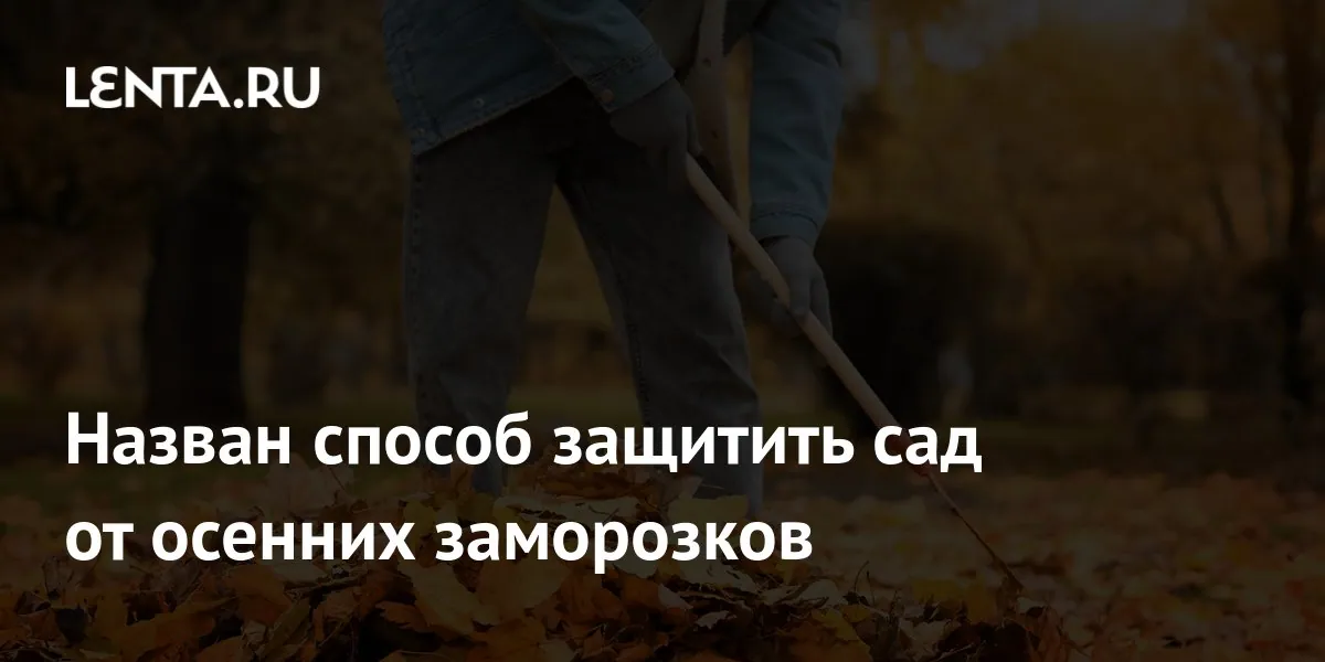 Gardener explains how fallen leaves can protect plants from frost