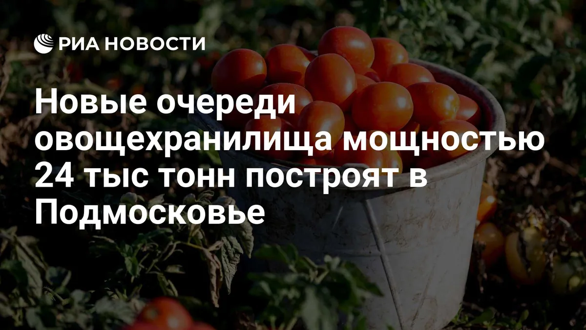 Комплекс хранения овощей расширят на 24 тысячи тонн