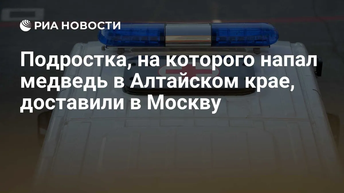 Teenager injured by bear in Altai transferred to Moscow children's hospital