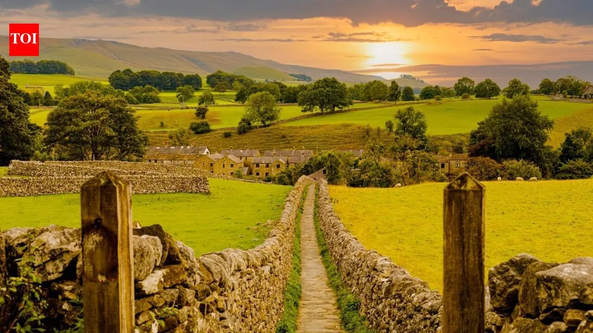 Farmer collaboration helps wildlife recover across southern England