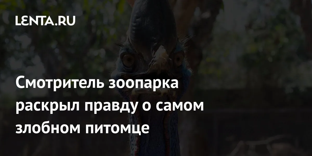 Смотритель зоопарка рассказал, с какими птицами ему труднее всего работать