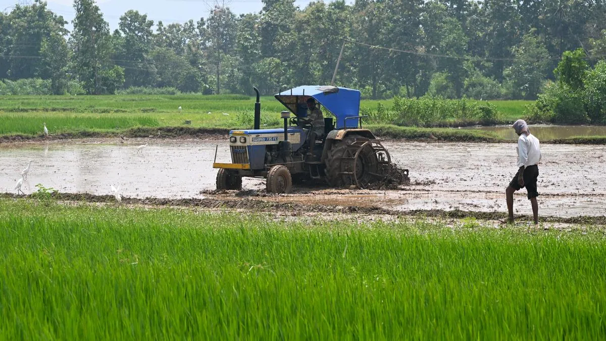 Study finds rural workers often move into low-productivity informal jobs in India