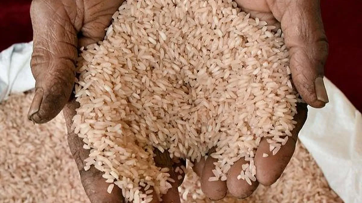 Karnataka seizes nearly 565 tonnes of rice in PDS enforcement drive