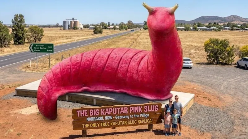 Australian town considers giant monument to rare pink slug