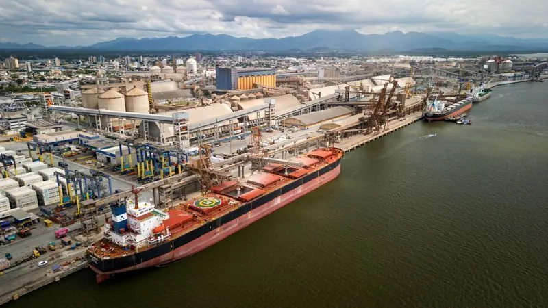 Brazil’s October soybean and corn exports forecast to fall, ANEC says