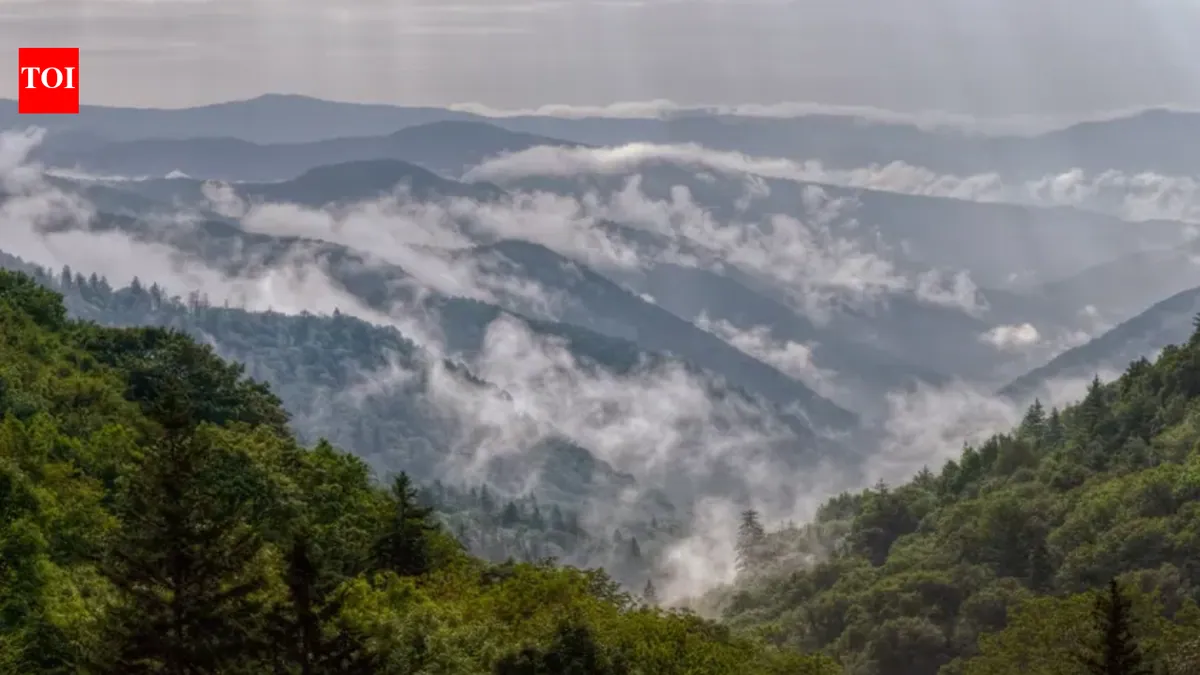 Rockefeller gift helped secure land for Great Smoky Mountains National Park