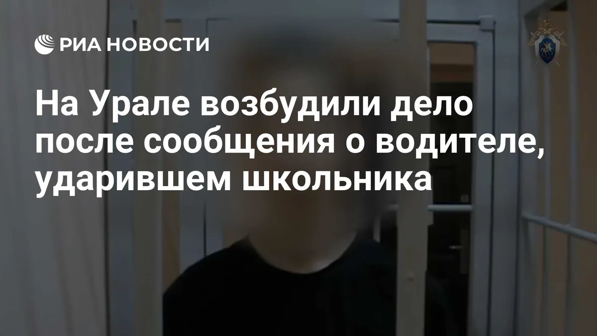 Hooliganism case opened after bus driver hits schoolboy in Berezovsky