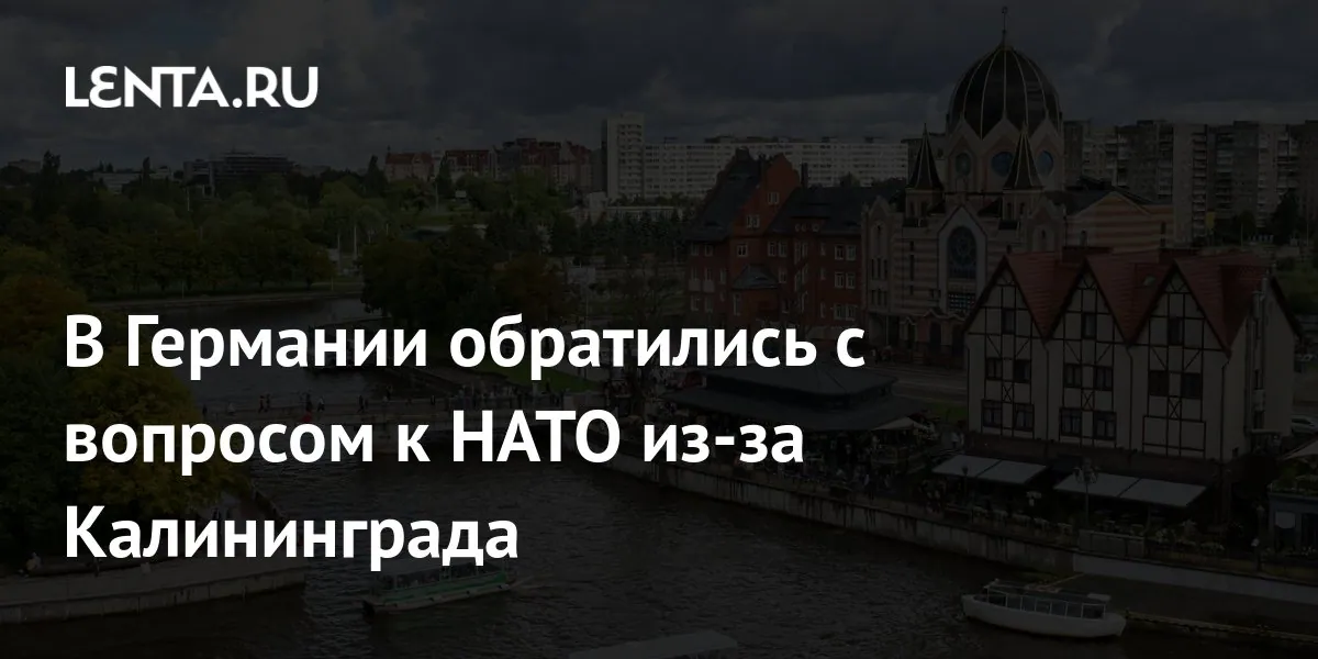 Нимайер раскритиковал политику НАТО вокруг Калининградской области