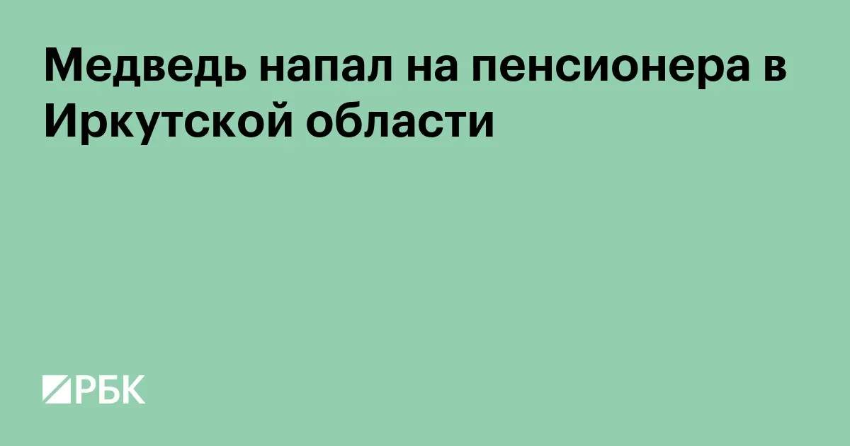 В Иркутской области медведь ранил 81-летнего рыбака на реке Киренге