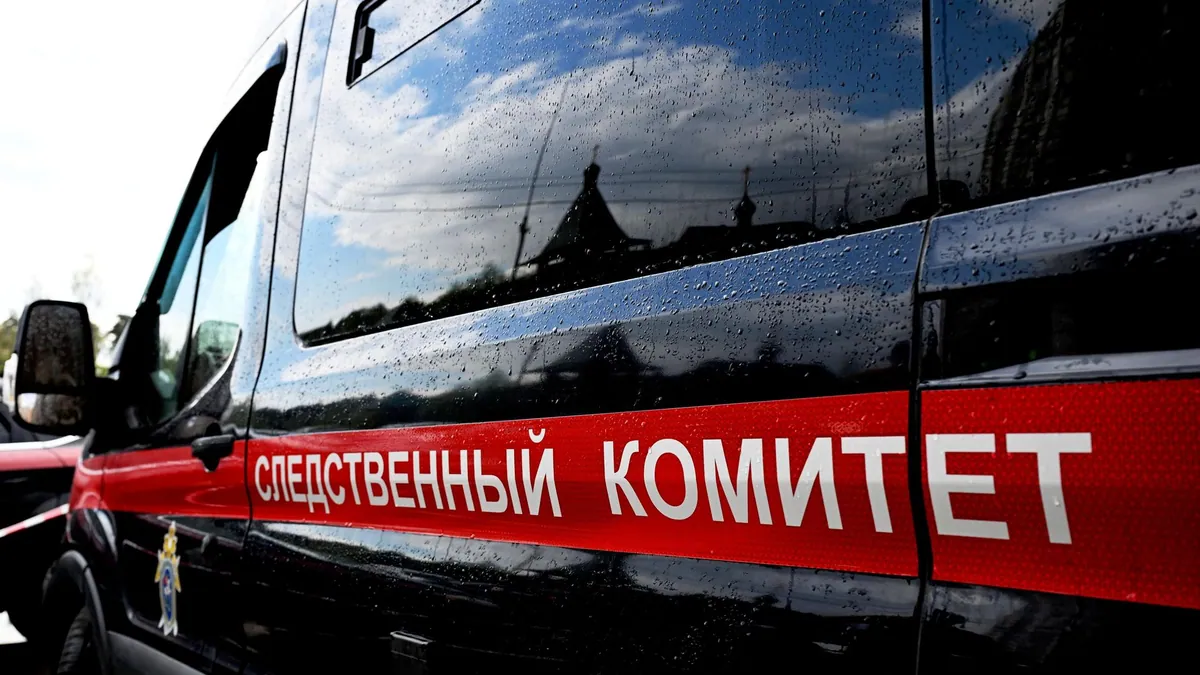 Yoshkar-Ola investigators open criminal case over attack on girl