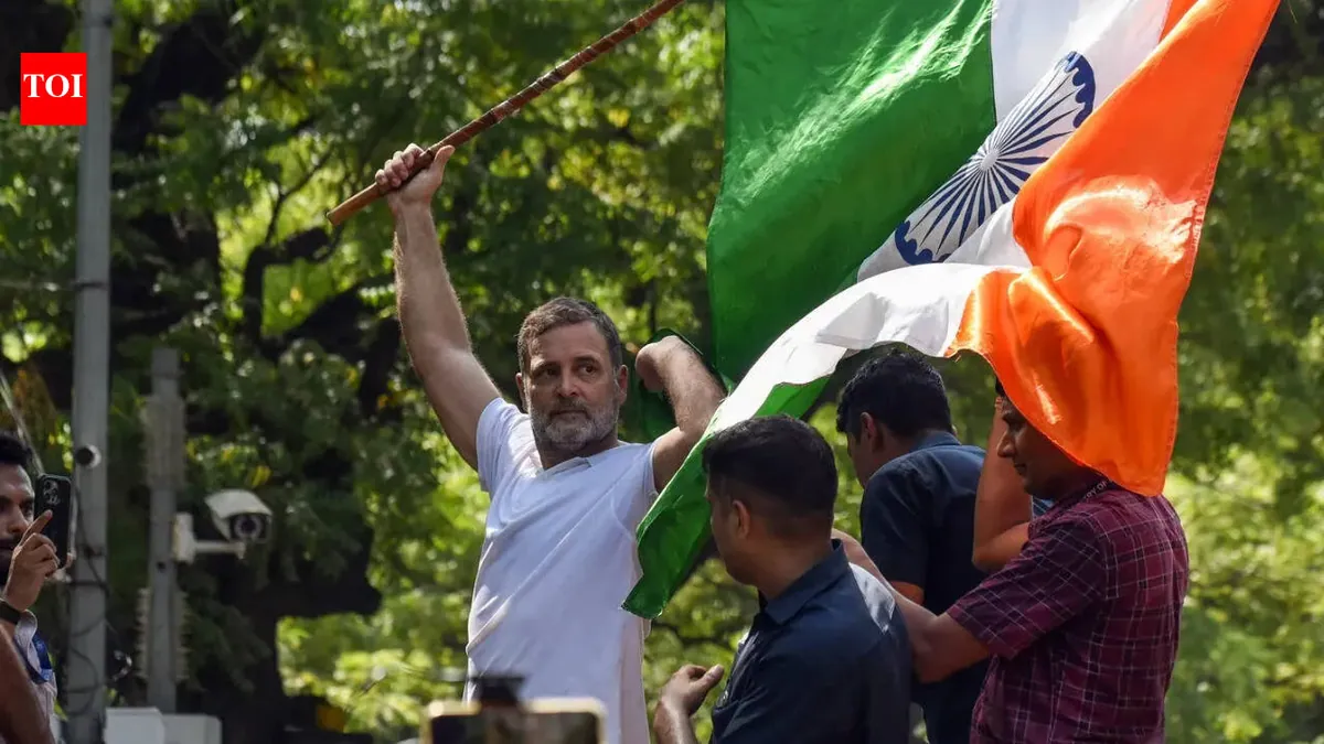 Rahul Gandhi calls FIRs against him ‘medals’ and renews demand for election chief to resign