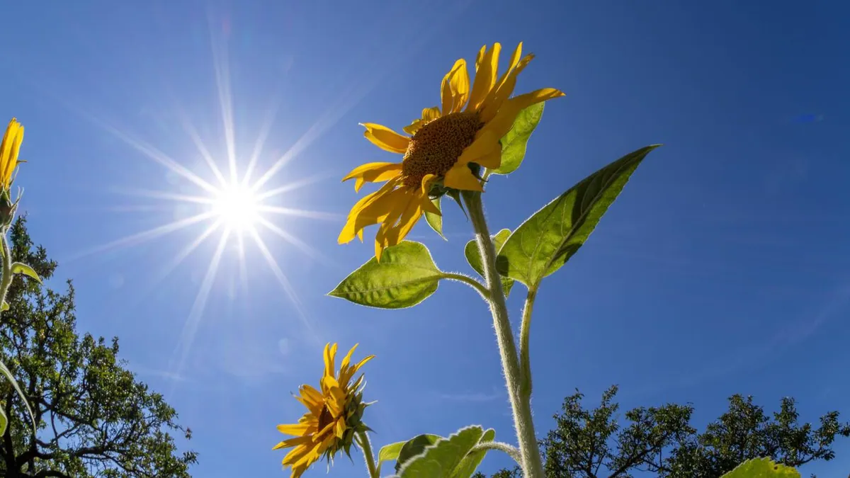 Germany has already exceeded its annual sunshine average