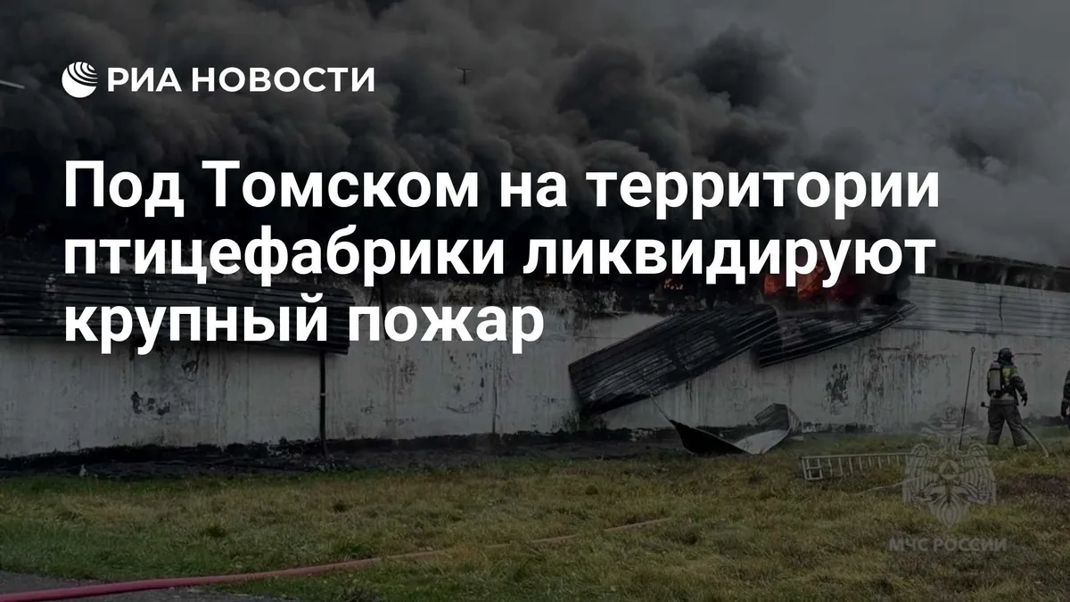 Fire at poultry-farm site near Tomsk extinguished