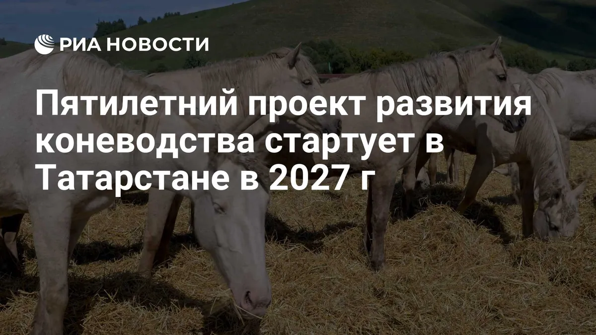 Tatarstan plans five-year programme to expand horse breeding