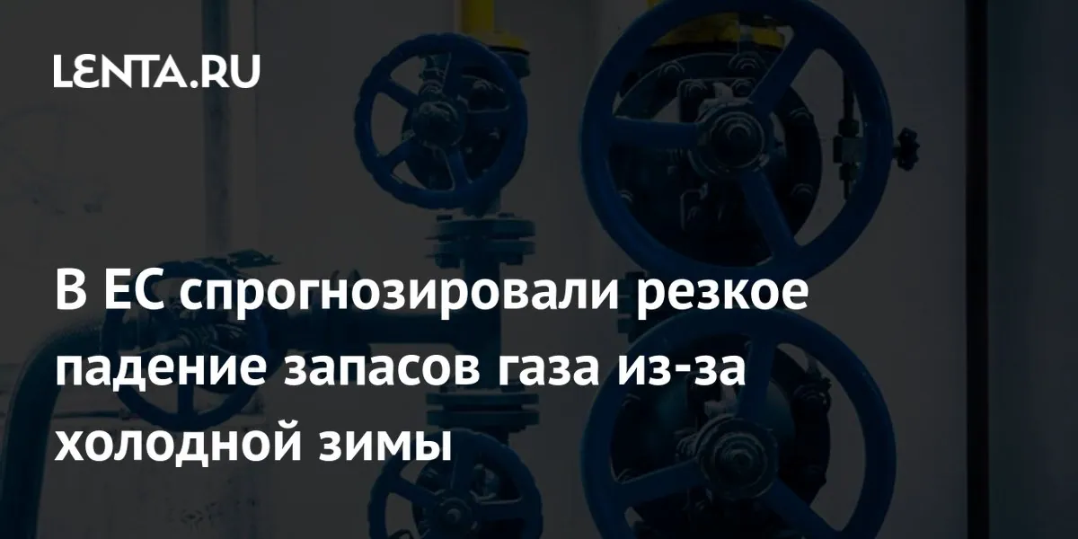 ENTSOG warns EU gas storage could fall to 11% in stress scenario