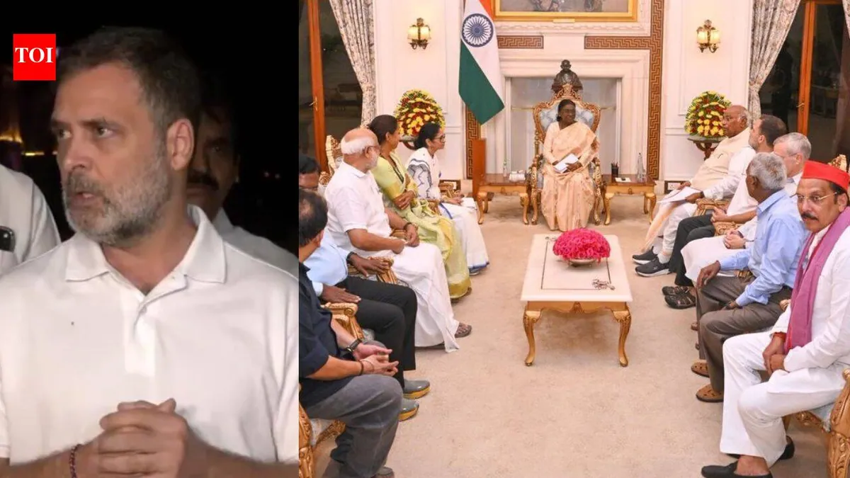 Sources dispute Rahul Gandhi's account of meeting with President Murmu