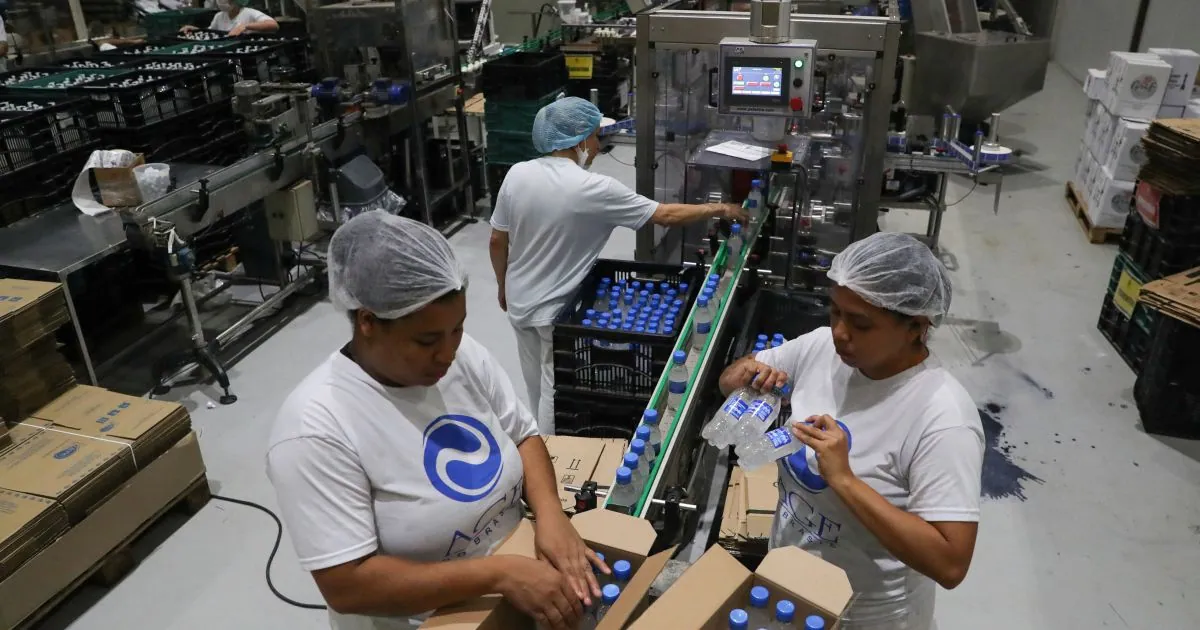 Brazilian industrial output falls in 10 of 15 areas in August