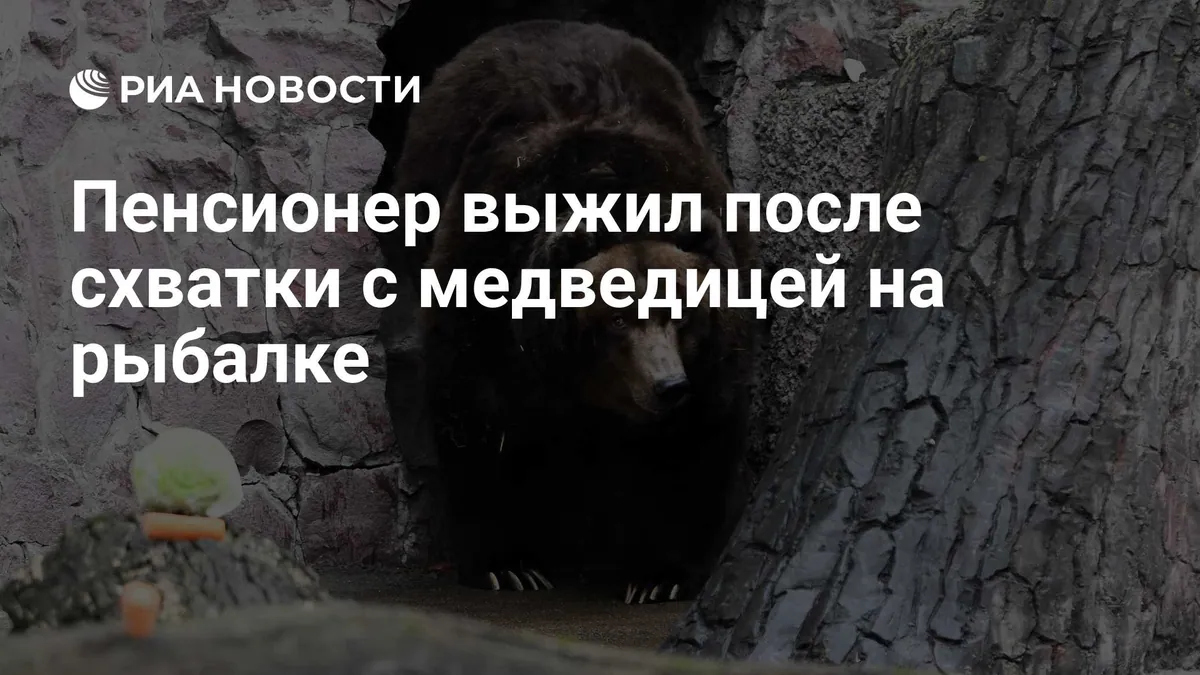 Рыбак из Приморья выжил после нападения медведицы и продолжит лечение во Владивостоке