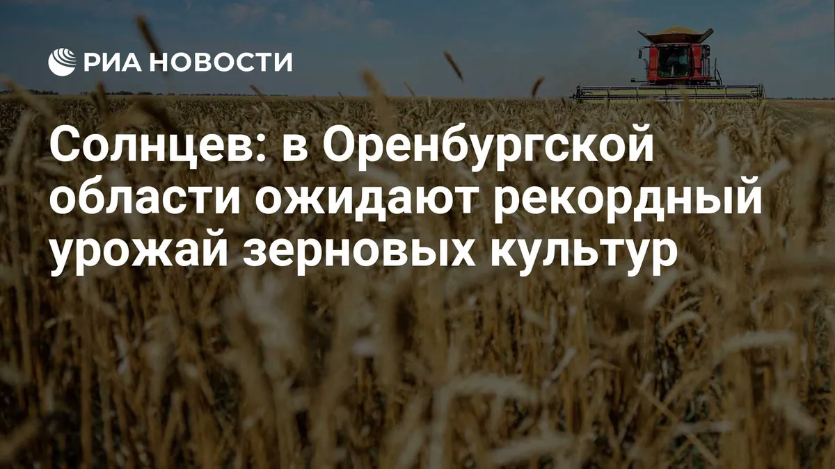 Orenburg region harvest reaches 4.179 million tonnes of grain