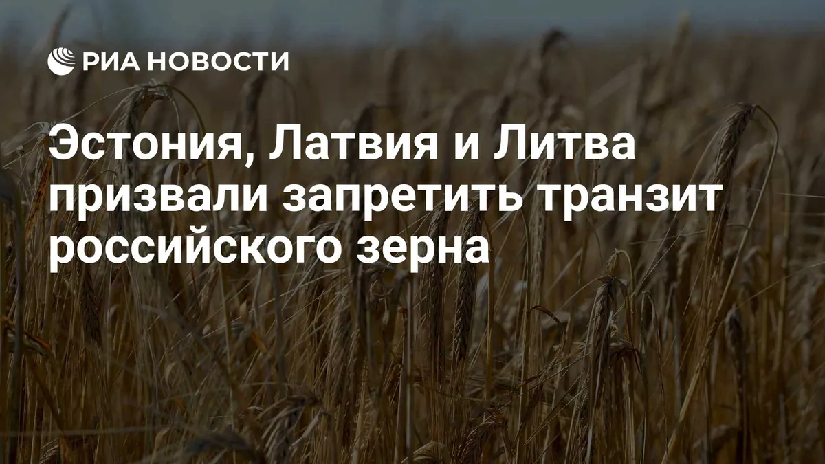 Baltic leaders propose EU ban on Russian grain transit