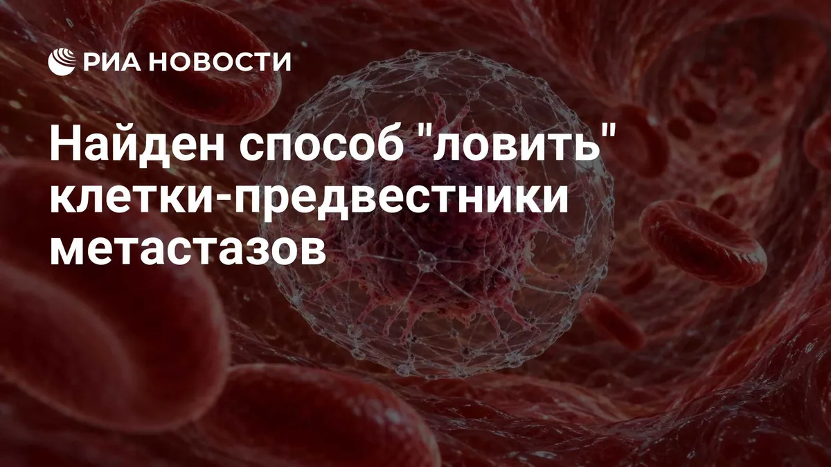 Учёные разработали микрочип для поиска редких опухолевых клеток в крови