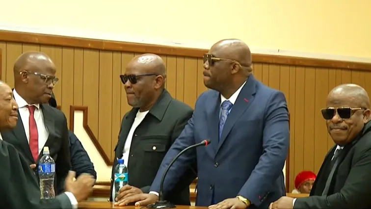 Court removes Sindane’s latest bid to block Madlanga Commission subpoena