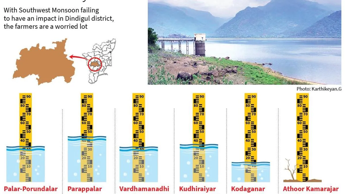 Dindigul's local rain fails to provide enough inflow to district reservoirs