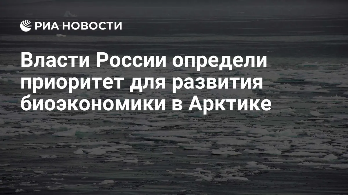 Bioeconomy strategy includes eco-settlements in the Russian Arctic