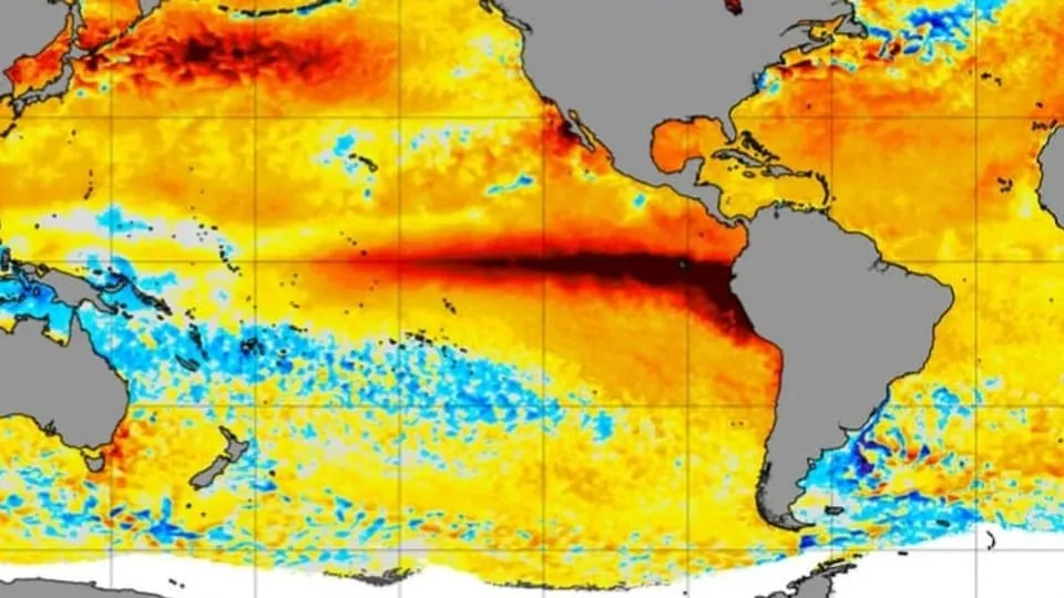 Galápagos corals point to stronger El Niño events in recent decades