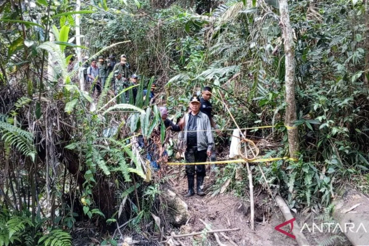 Sigi authorities move to halt illegal gold mining inside national park