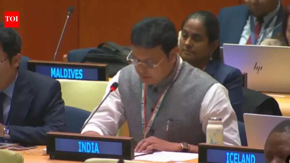 India rebukes OIC at UN over its remarks on Jammu and Kashmir