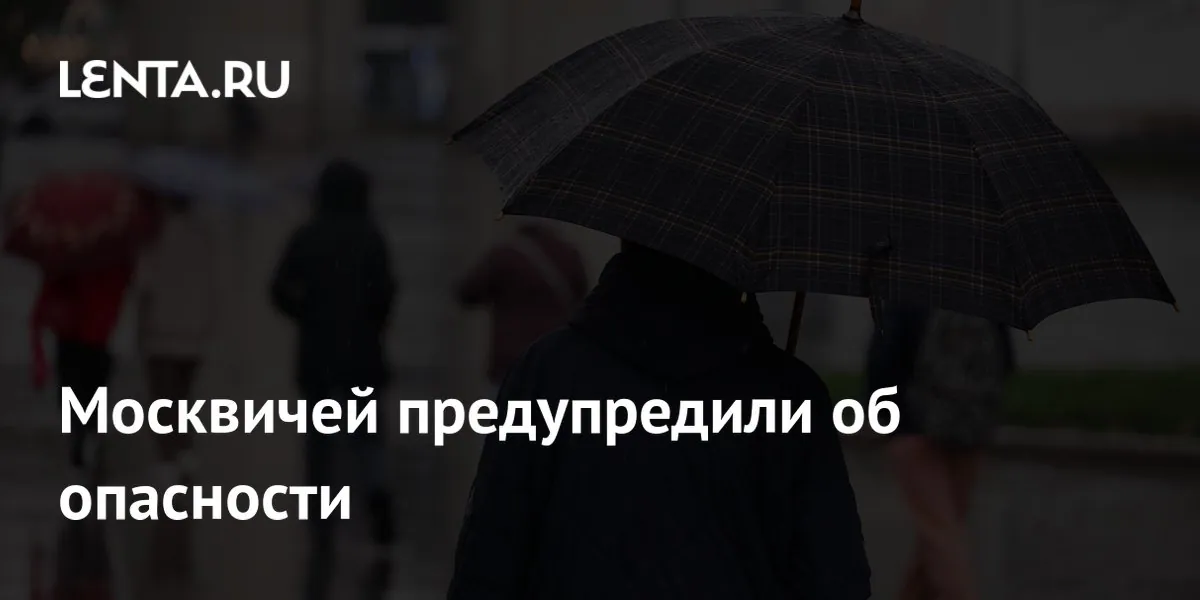 В Москве и Подмосковье объявили жёлтый уровень погодной опасности